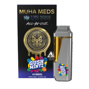 GUSH MINTZ | HYBRID